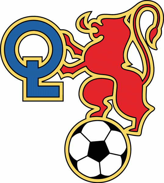olympique lyonnais 1970-1980 primary logo DTF transfer for t shirt